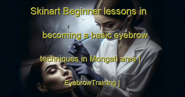 Skinart Beginner lessons in becoming a basic eyebrow techniques in Mongati area | EyebrowTraining | EyebrowClasses | SkinartTraining-the Democratic Republic of the Congo